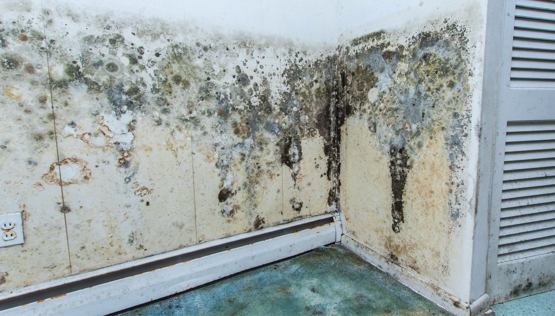 Professional mold removal, odor control, and water damage restoration service in Phoenix, Arizona.