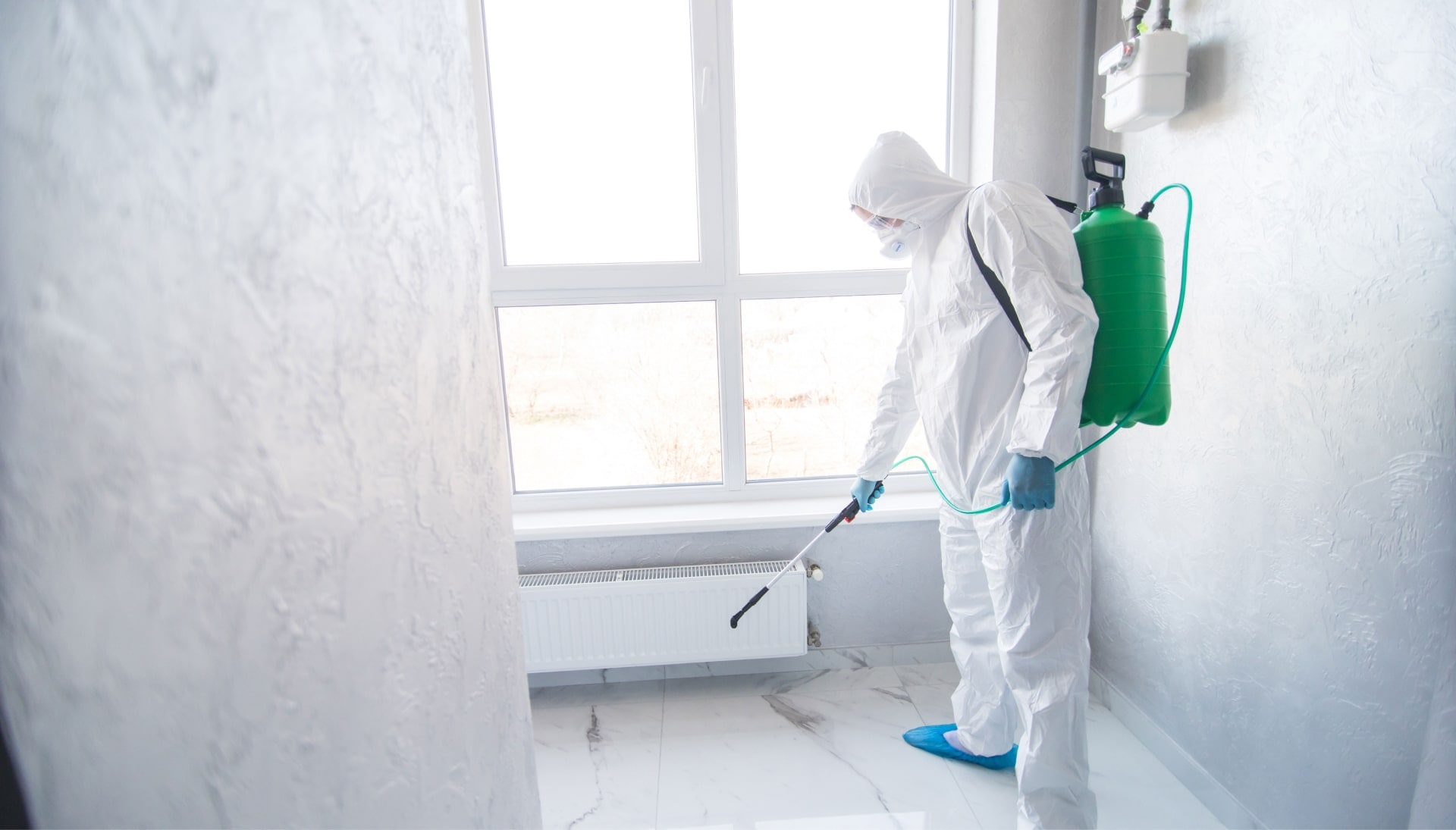 We provide the highest-quality mold inspection, testing, and removal services in the Phoenix, Arizona area.